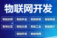 物联网管理系统APP软件定制开发
