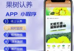企业管理系统+app开发+小程序开发+物联网开发