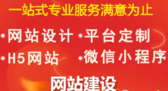 网站建设-设计-维护